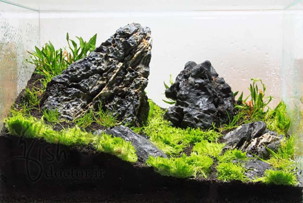 راه اندازی آکواریوم گیاهی به روش کشت خشک-freshwater plant aquarium-Planted Tank-aquascape-Dry Start Method