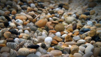شن-ماسه- سنگ ریزه بستر-کف آکواریوم- aquarium-substrate-decor-Sand-Gravelدکور-منظره تانک ماهی و گیاه-