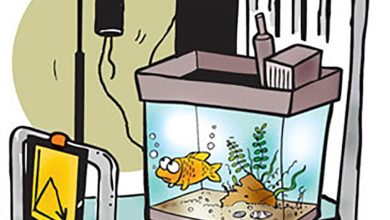 Aquaculture quarantine-live aquatic animals-freshwater-saltwater-disease-aquarium fish-tank problem-آبزی پروری-قرنطینه-بیماری ماهی-آکواریوم-مشکلات تانک-بهداشت درمان آبزیان