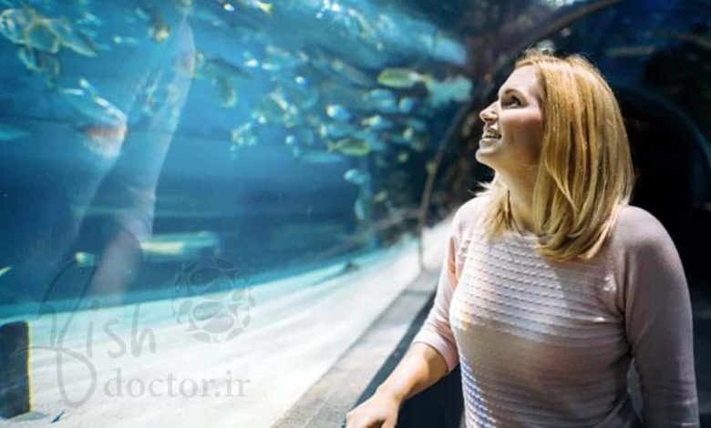 aquarium benefits- importance- fish tank- fish keeping hobbyآشنایی یا سرگرمی آکواریوم-فواید نگهداری و تماشای آکواریوم و ماهی-اهمیت آکواریوم و ماهی-نگهداری آکواریوم-برپایی مخزن نگهداری ماهی و گیاه آبزی